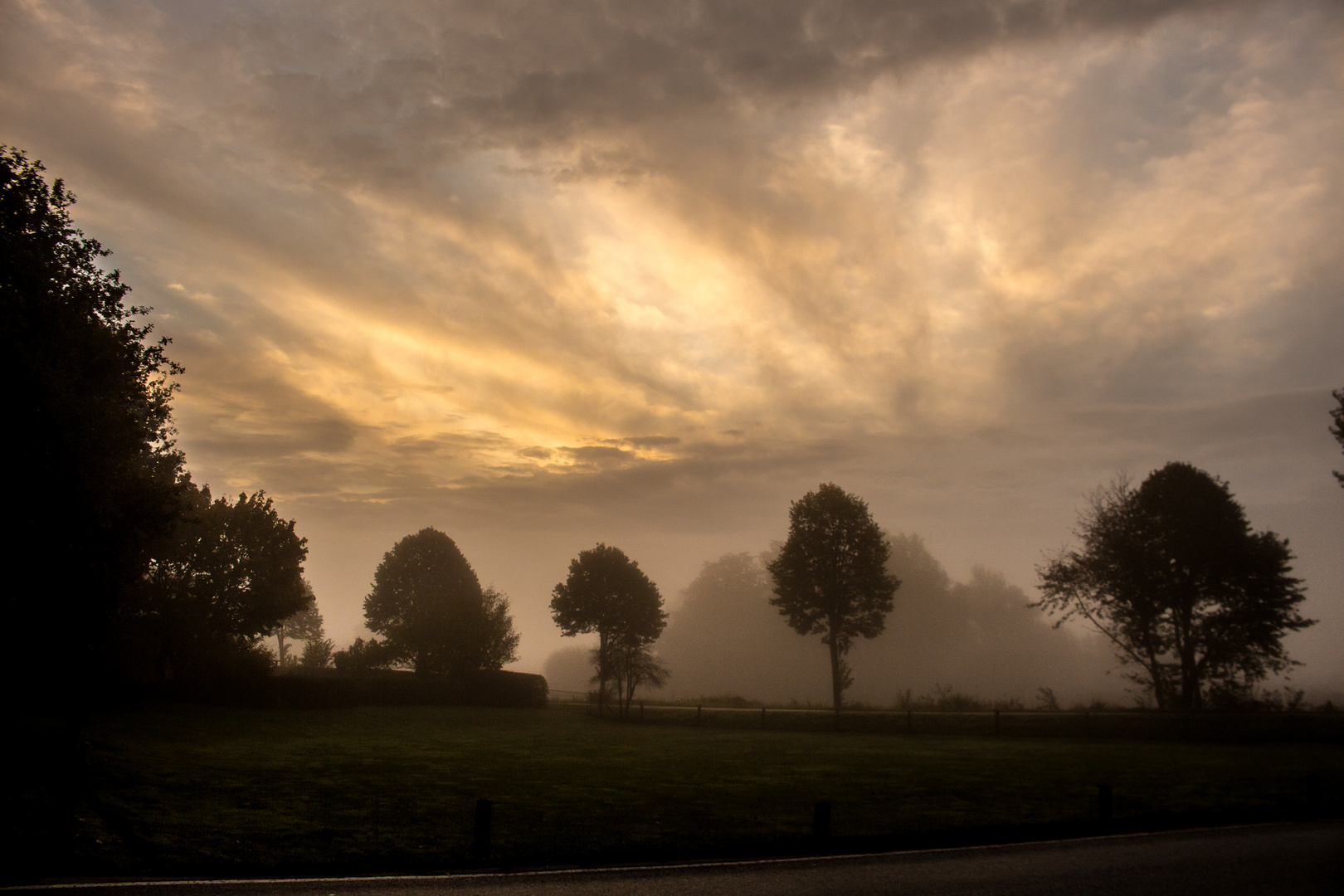 Foggy Morning