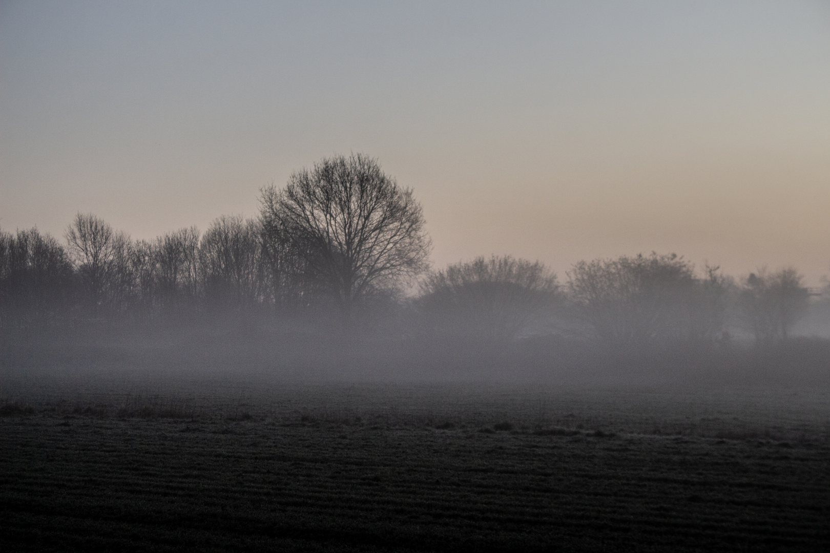 Foggy Morning