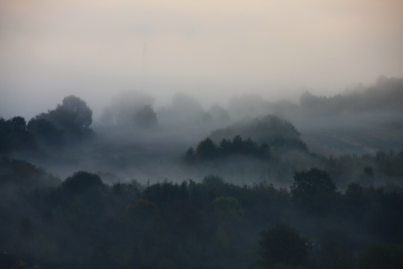Foggy Morning 4619