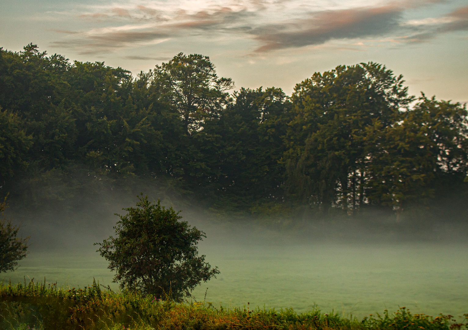 Foggy Morning