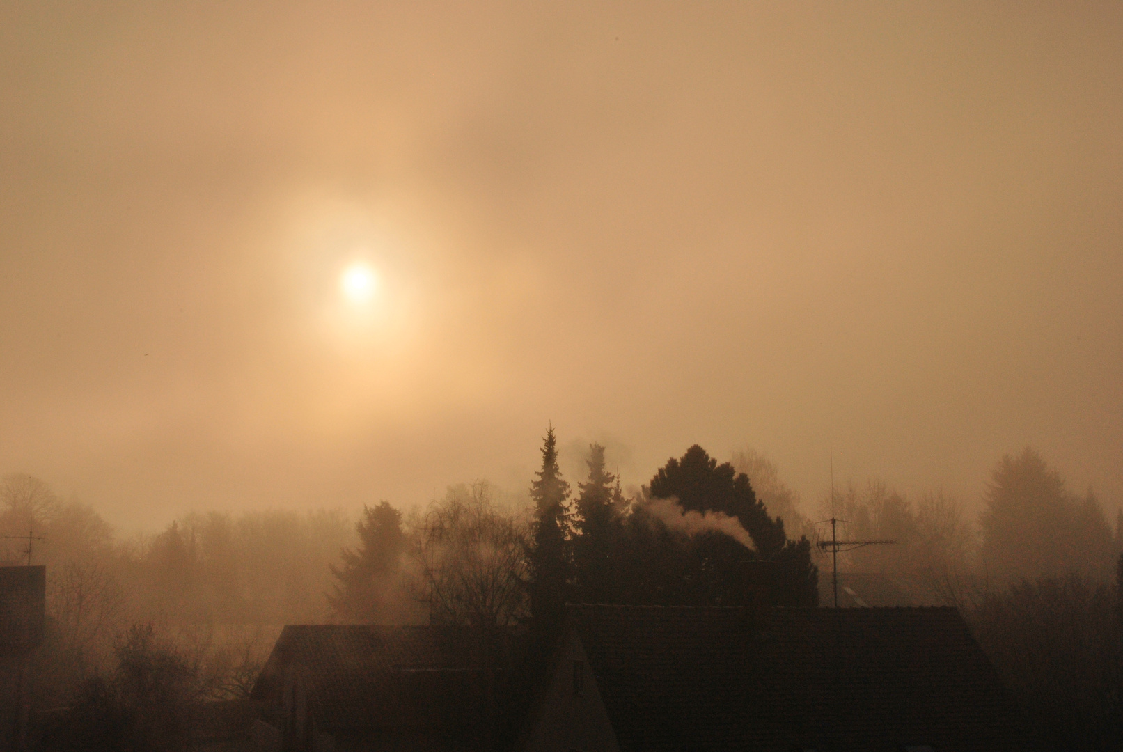 Foggy Morning