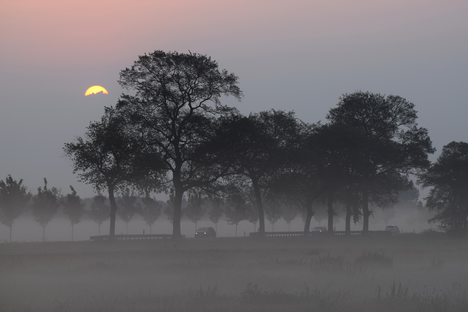 foggy morning