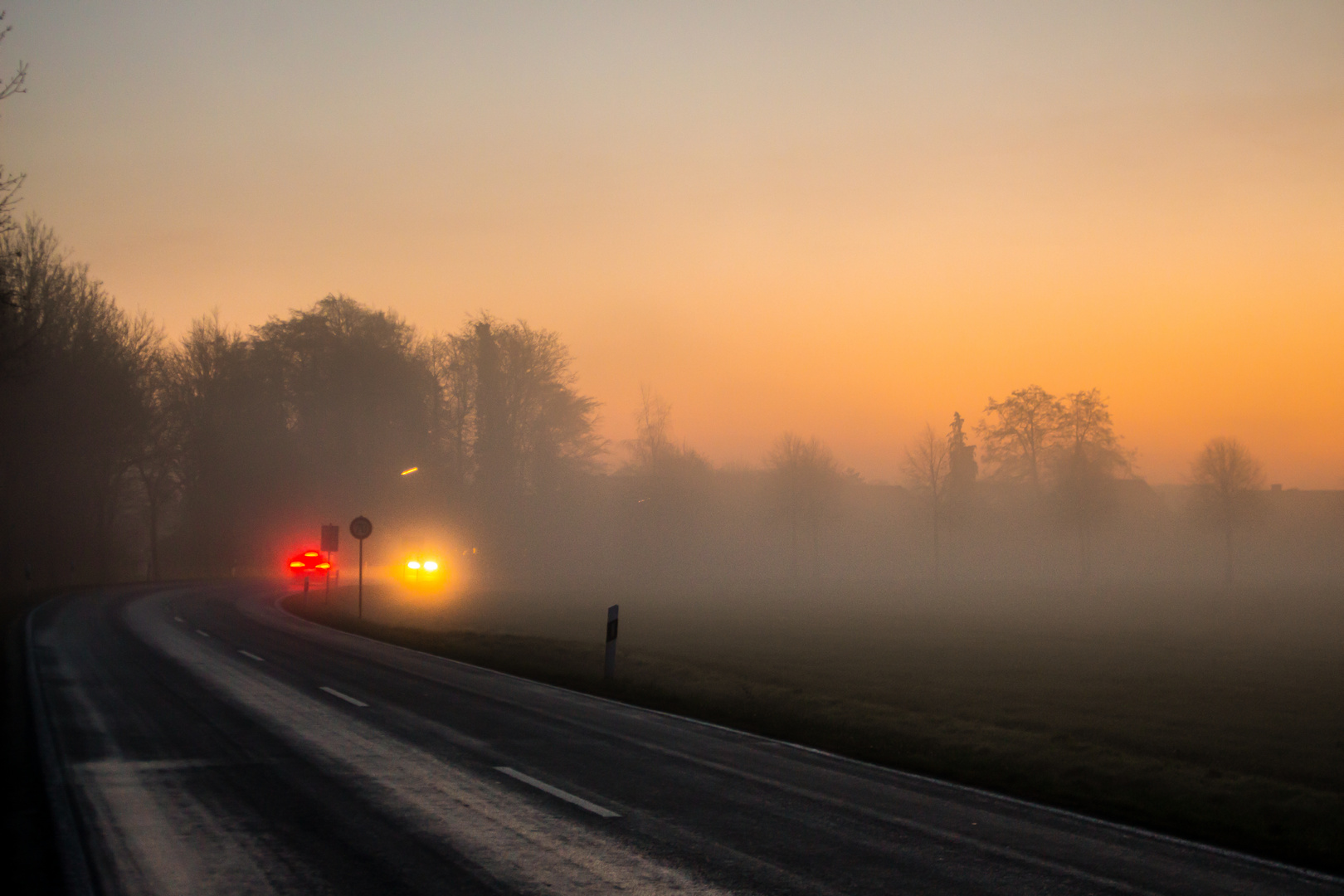 Foggy Morning