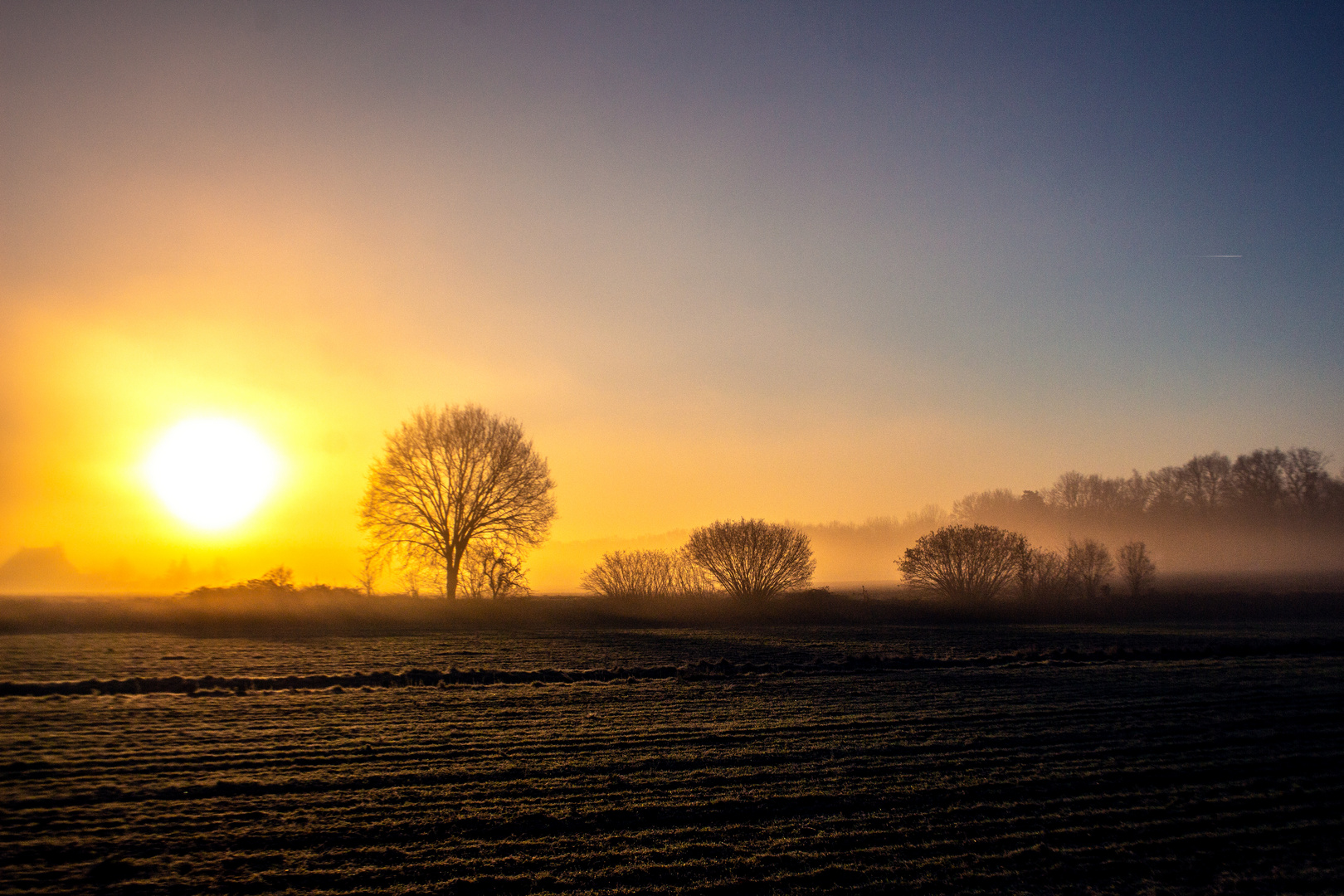 Foggy Morning