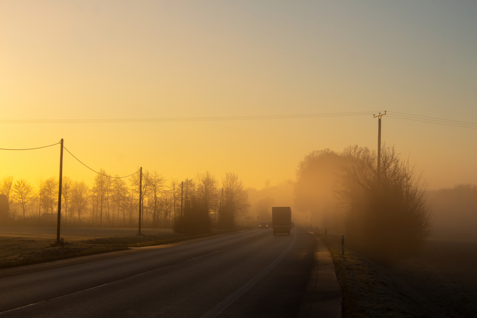 Foggy Morning