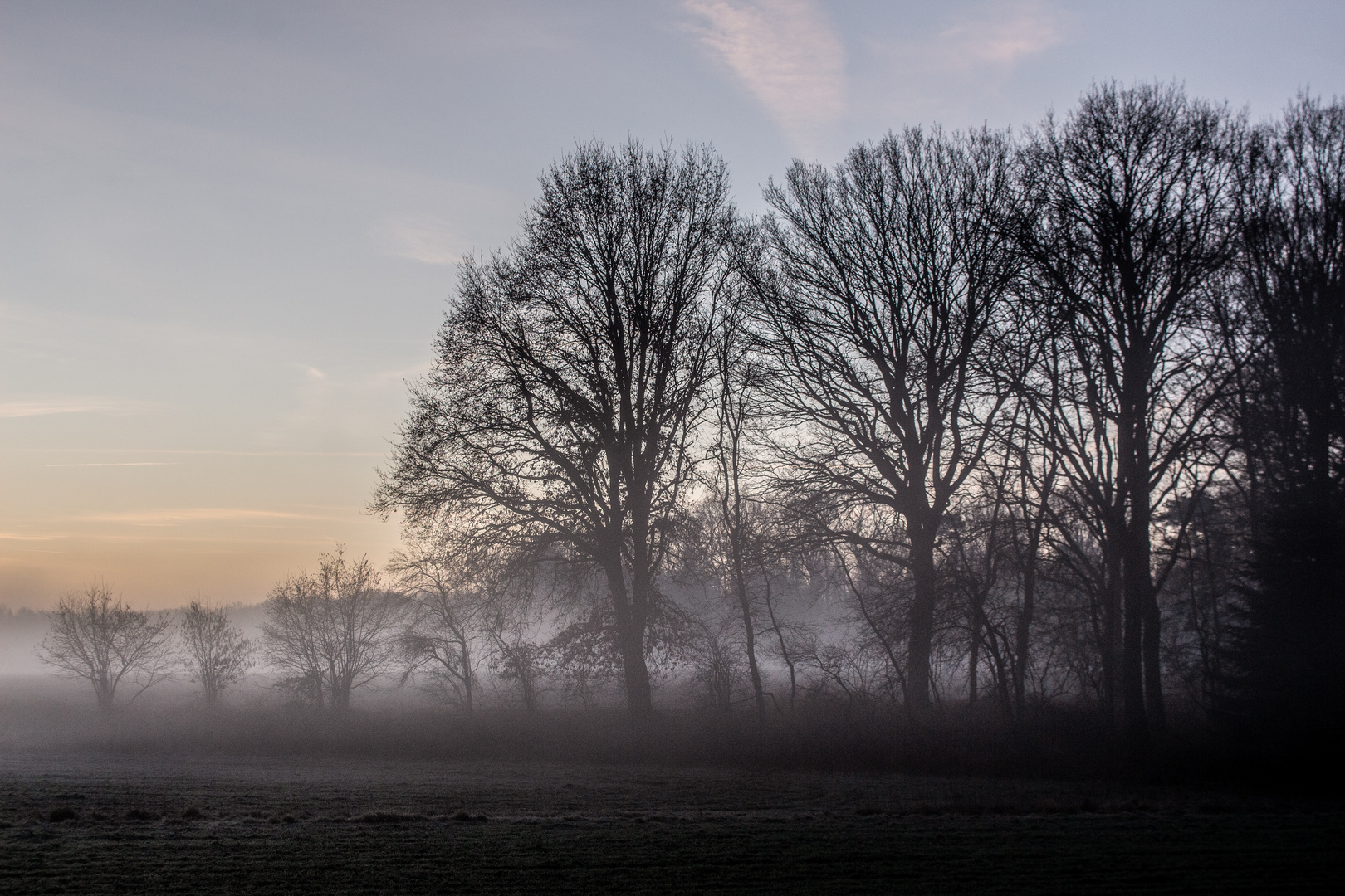 Foggy Morning