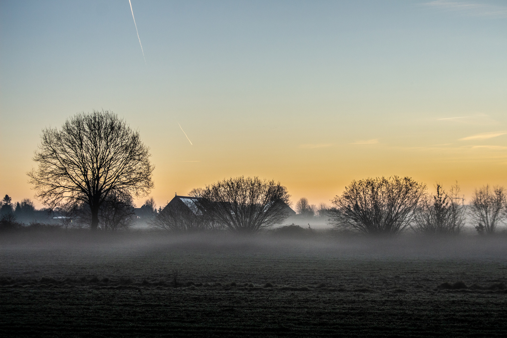 Foggy Morning