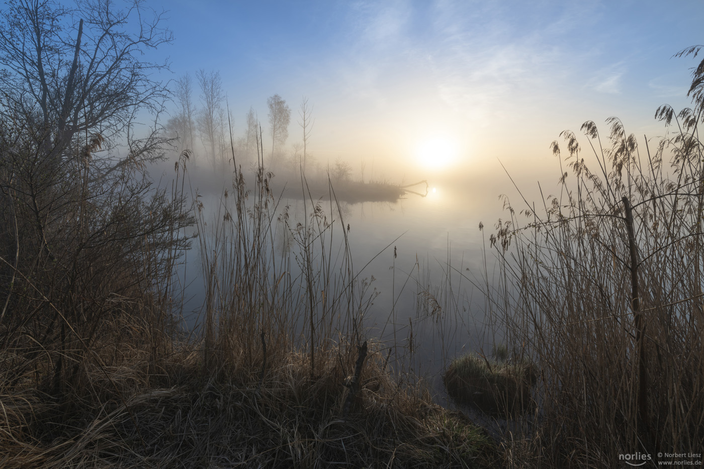 Foggy morning