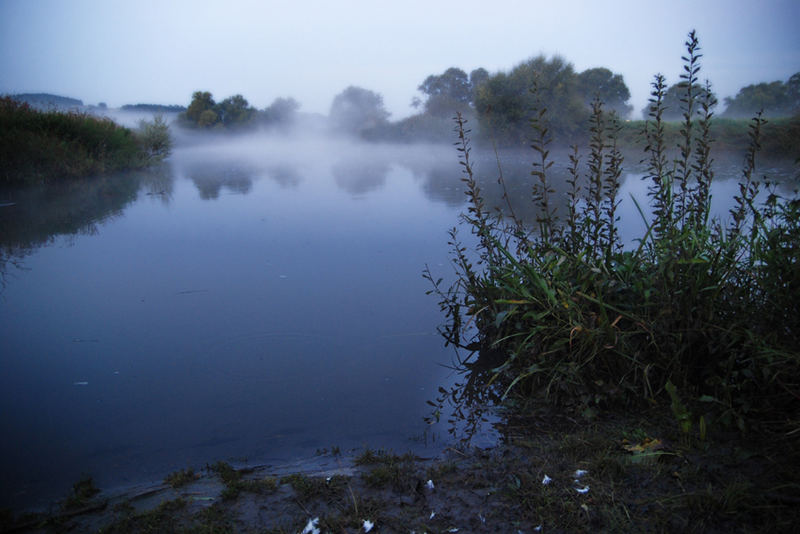 foggy morning