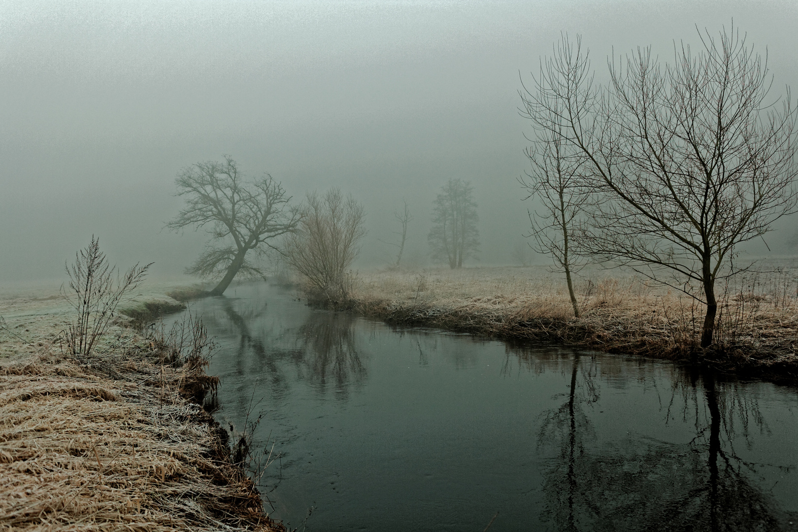 Foggy morning