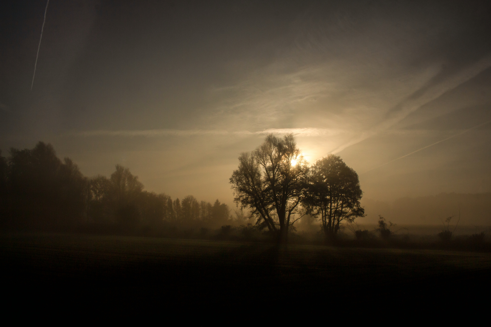 Foggy Morning