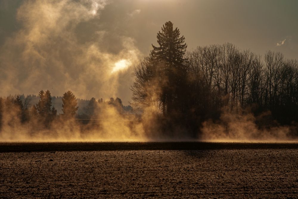 Foggy morning