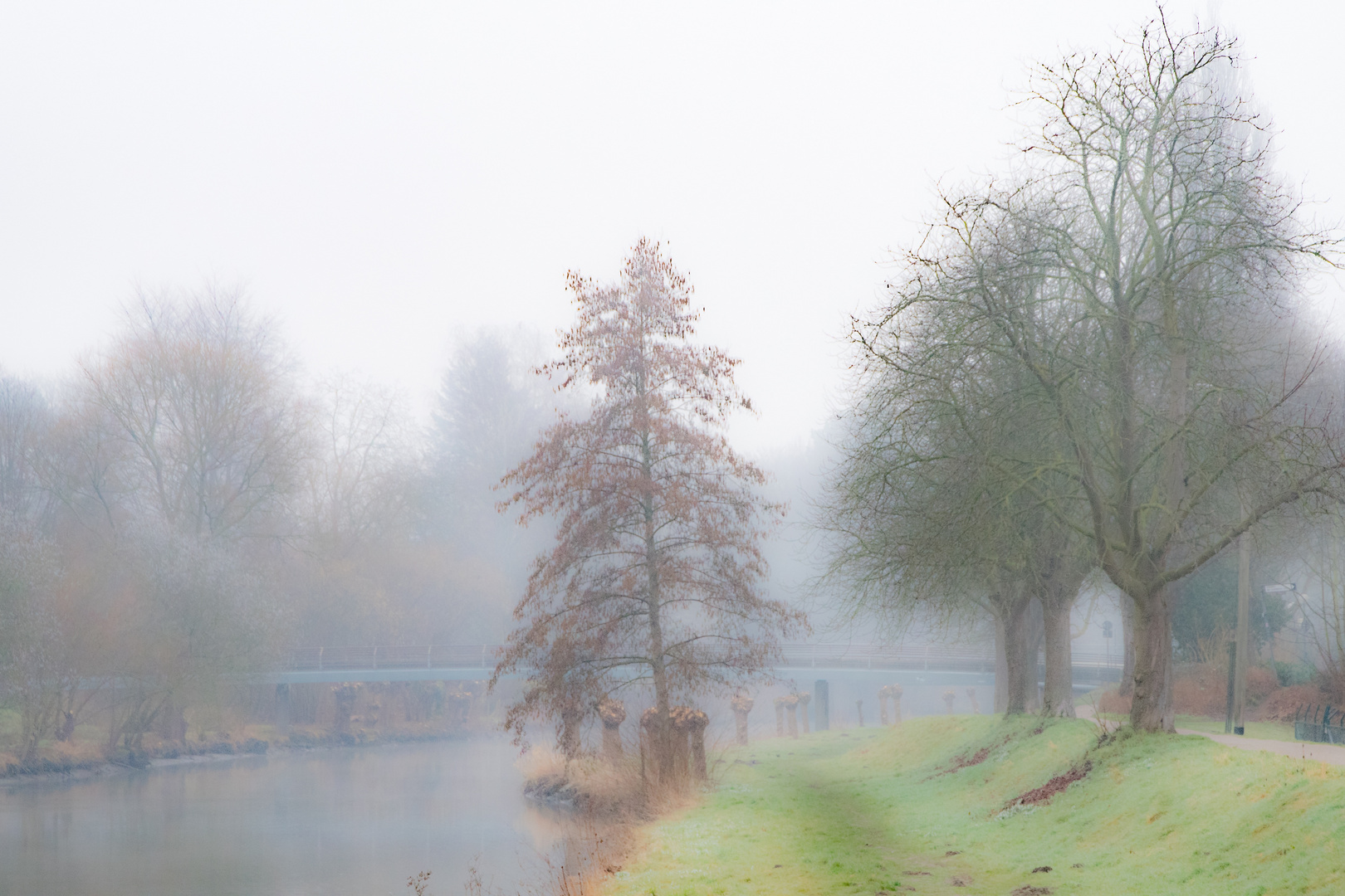 Foggy morning