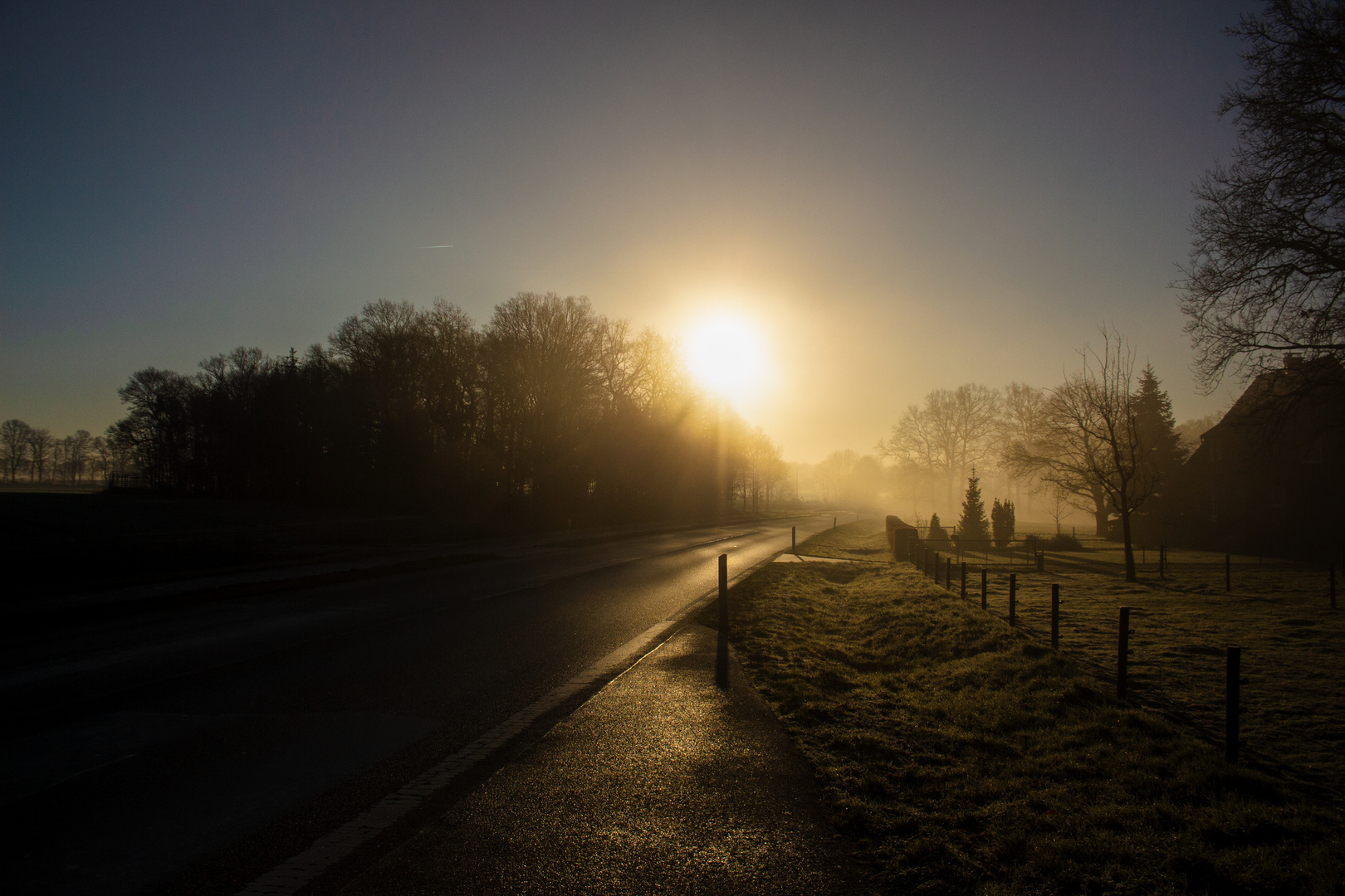 Foggy Morning