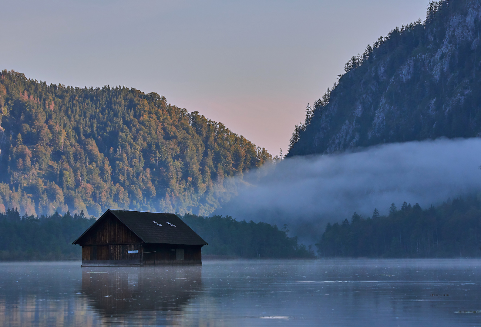 Foggy Morning at Almsee