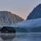 Foggy Morning at Almsee