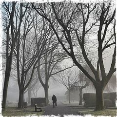 Foggy morning at the graveyard