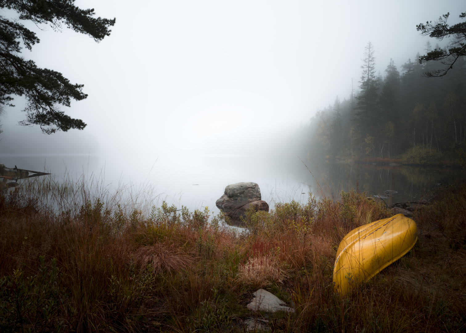 Foggy morning at the lake