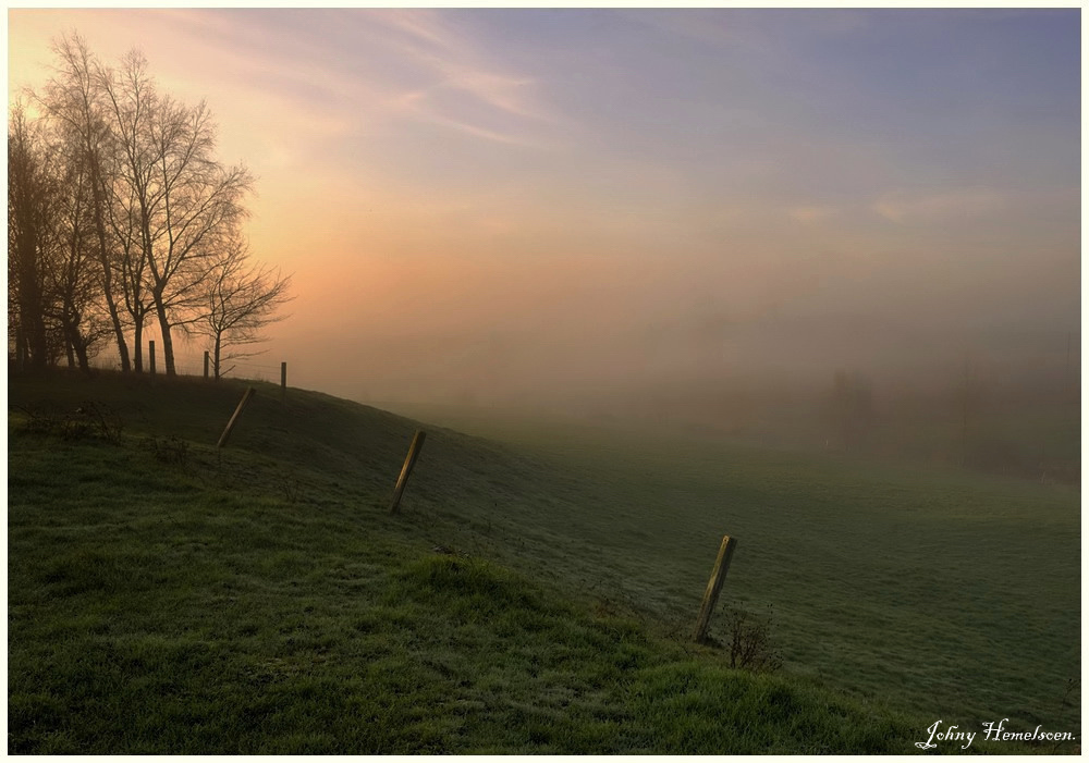 Foggy morning.