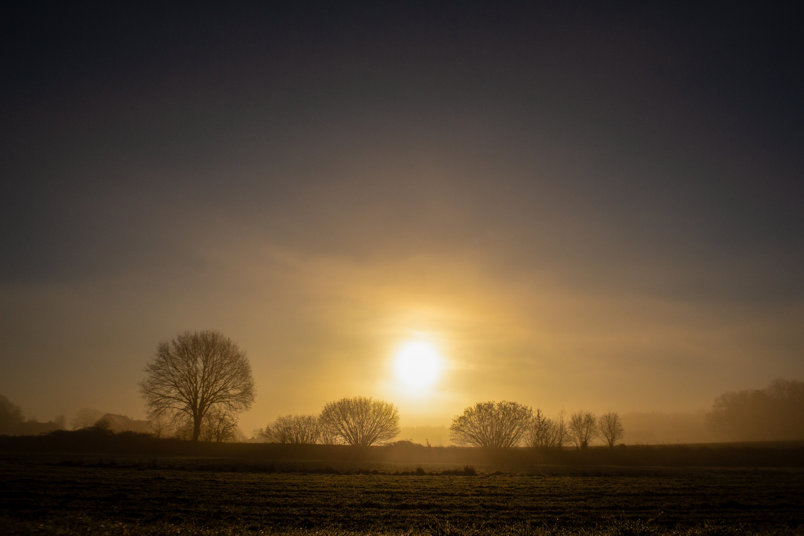 Foggy Morning