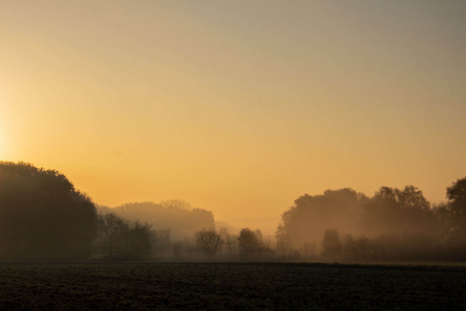 Foggy Morning