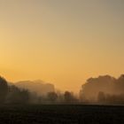 Foggy Morning