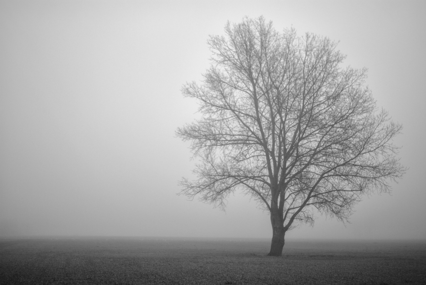 … foggy Morning…