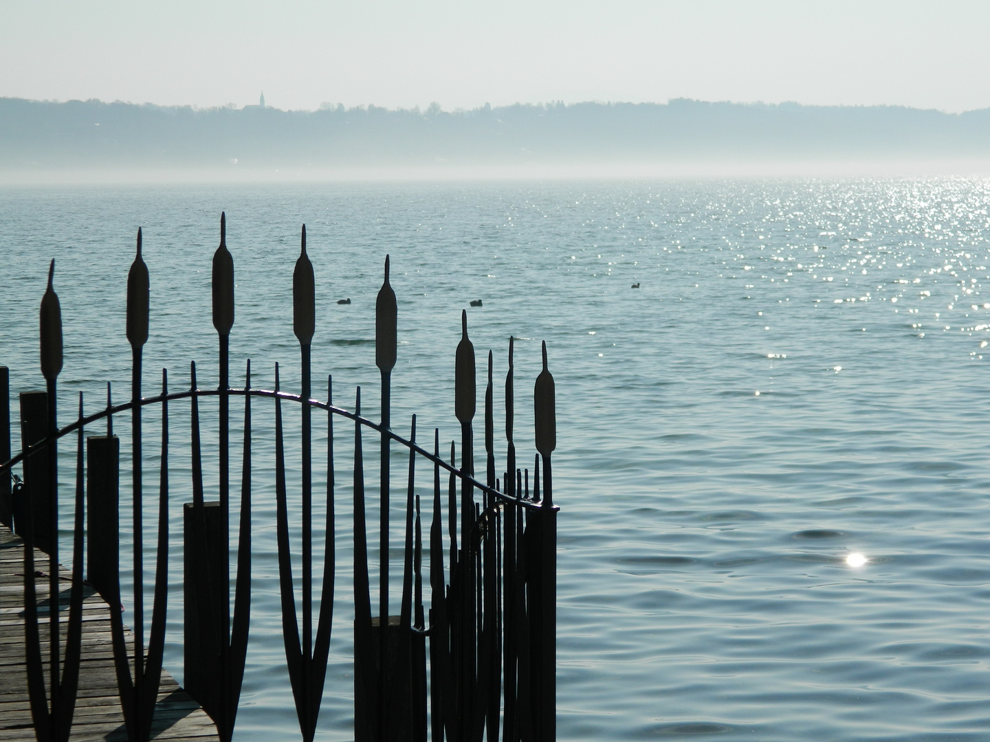 Foggy morning