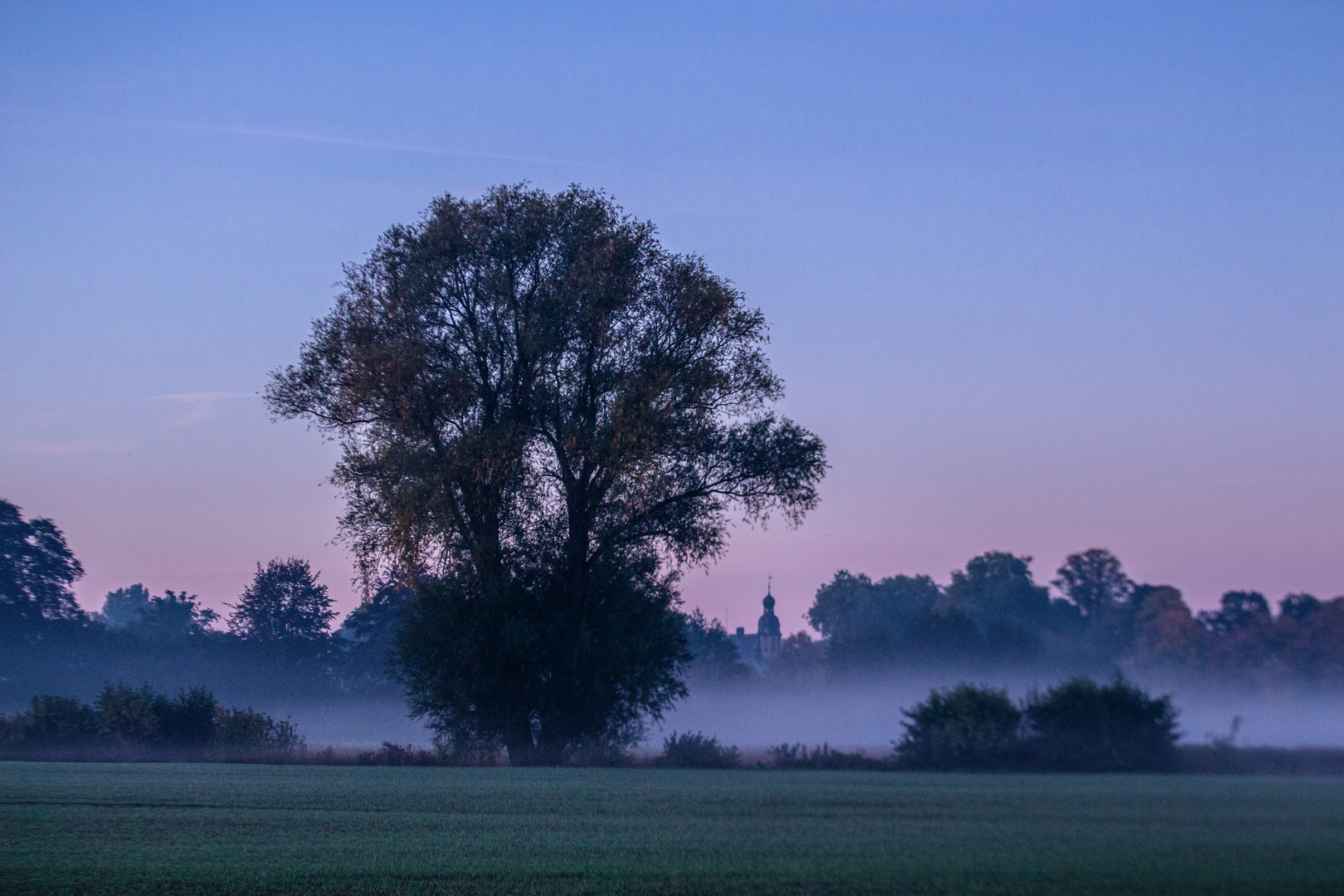 Foggy Morning