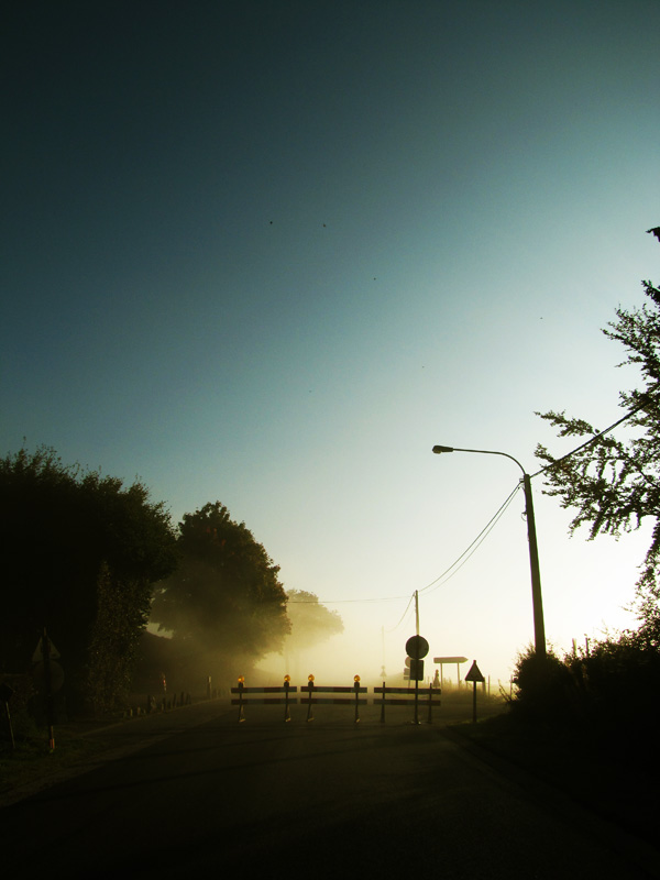 Foggy Morning