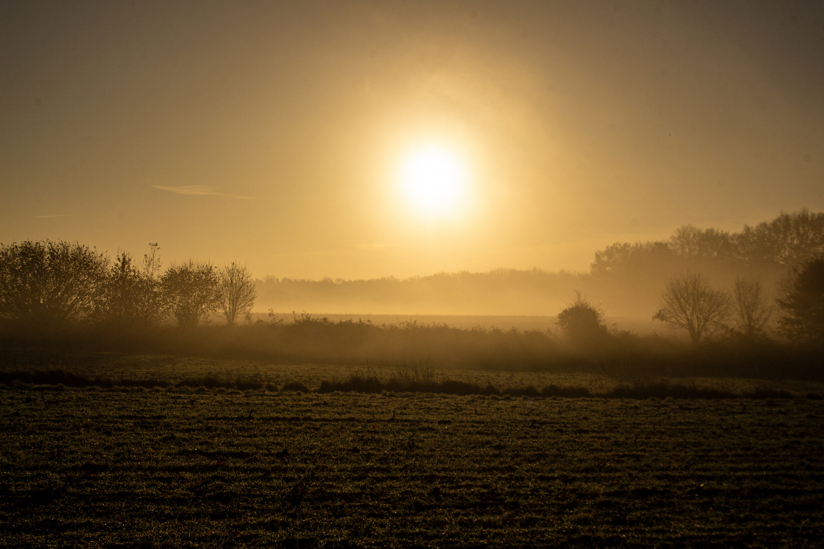 Foggy Morning