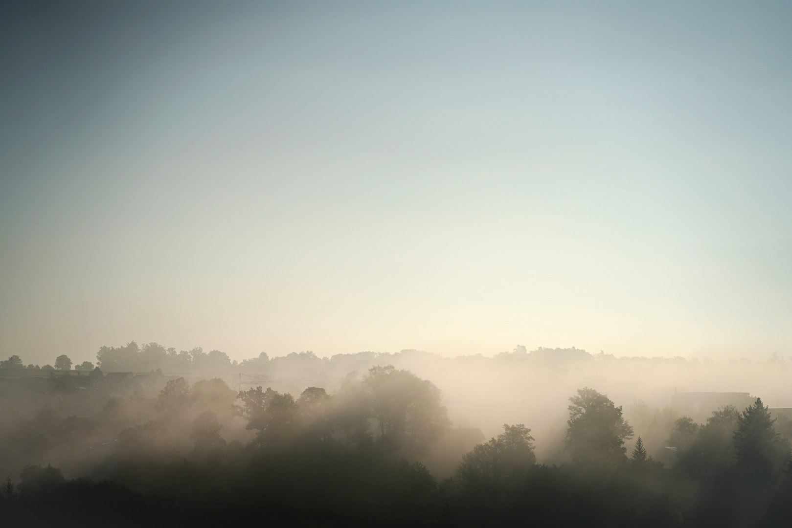 Foggy Morning 