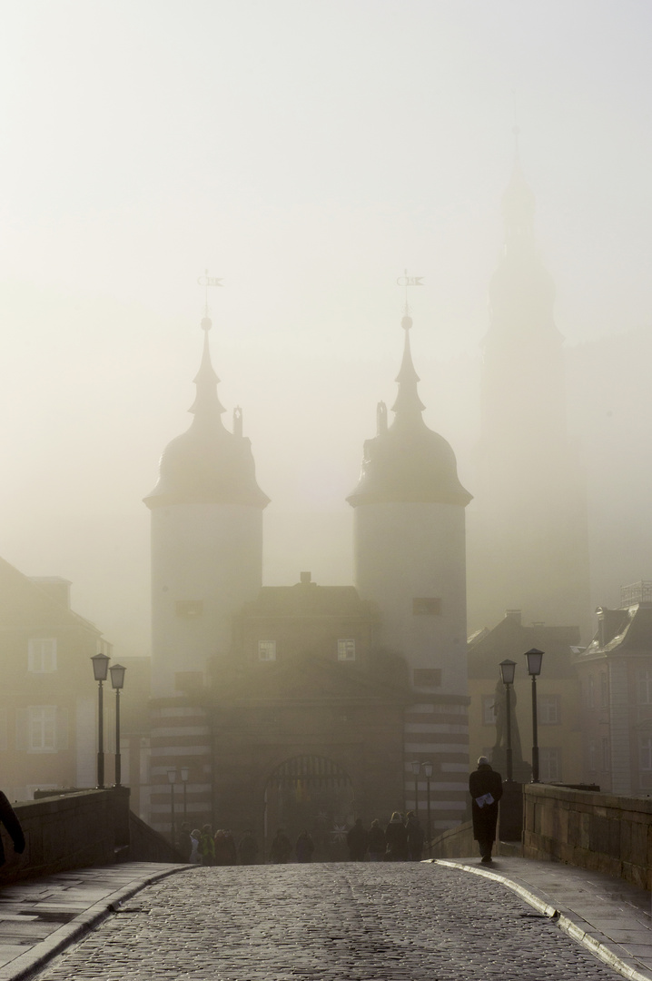 foggy morning in Heidelberg