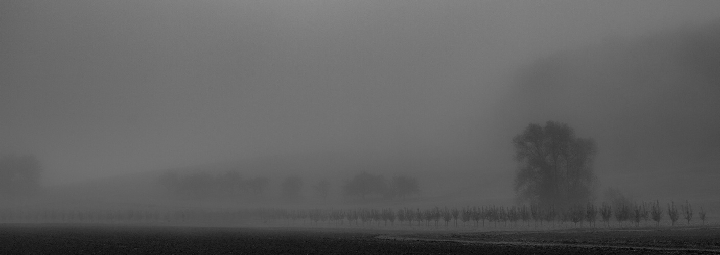 Foggy morning Neckartailfingen in B&W