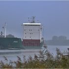 Foggy morning on Kiel - Canal, Germany