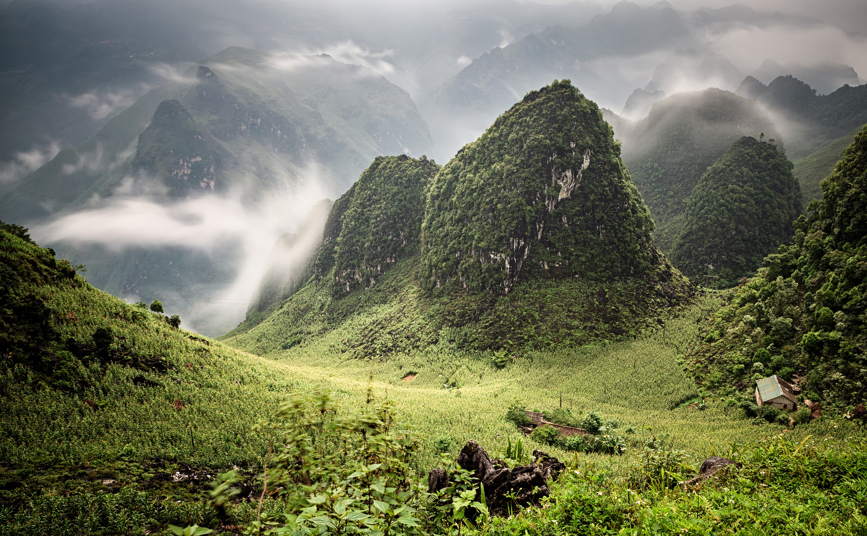 Foggy morning on the pass