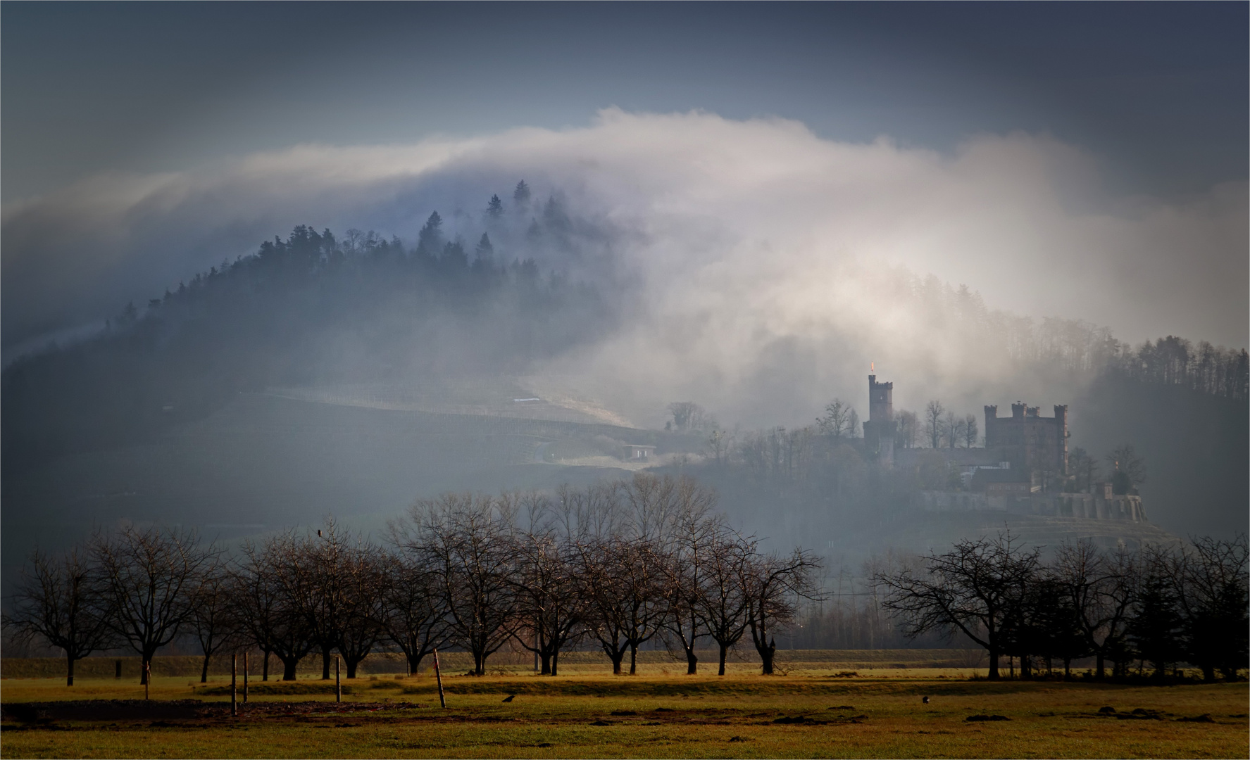 foggy morning over mystic castle