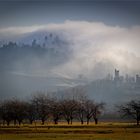 foggy morning over mystic castle