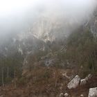 Foggy Mountain