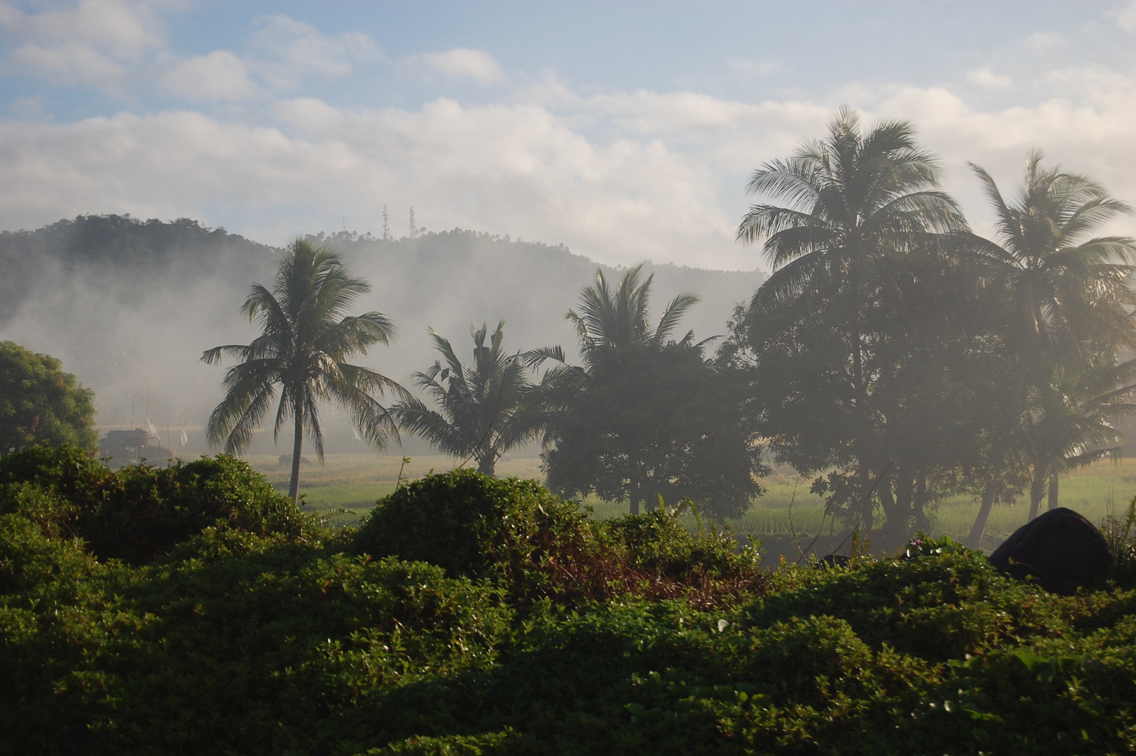 Foggy Mountain in Province