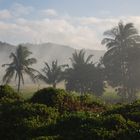 Foggy Mountain in Province