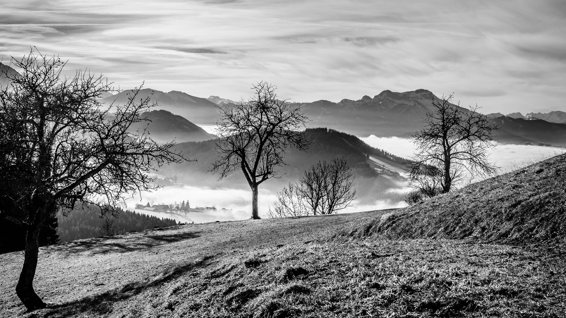 Foggy Mountains