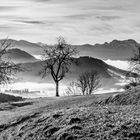 Foggy Mountains