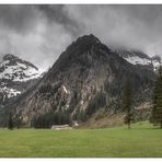 Foggy Mountains