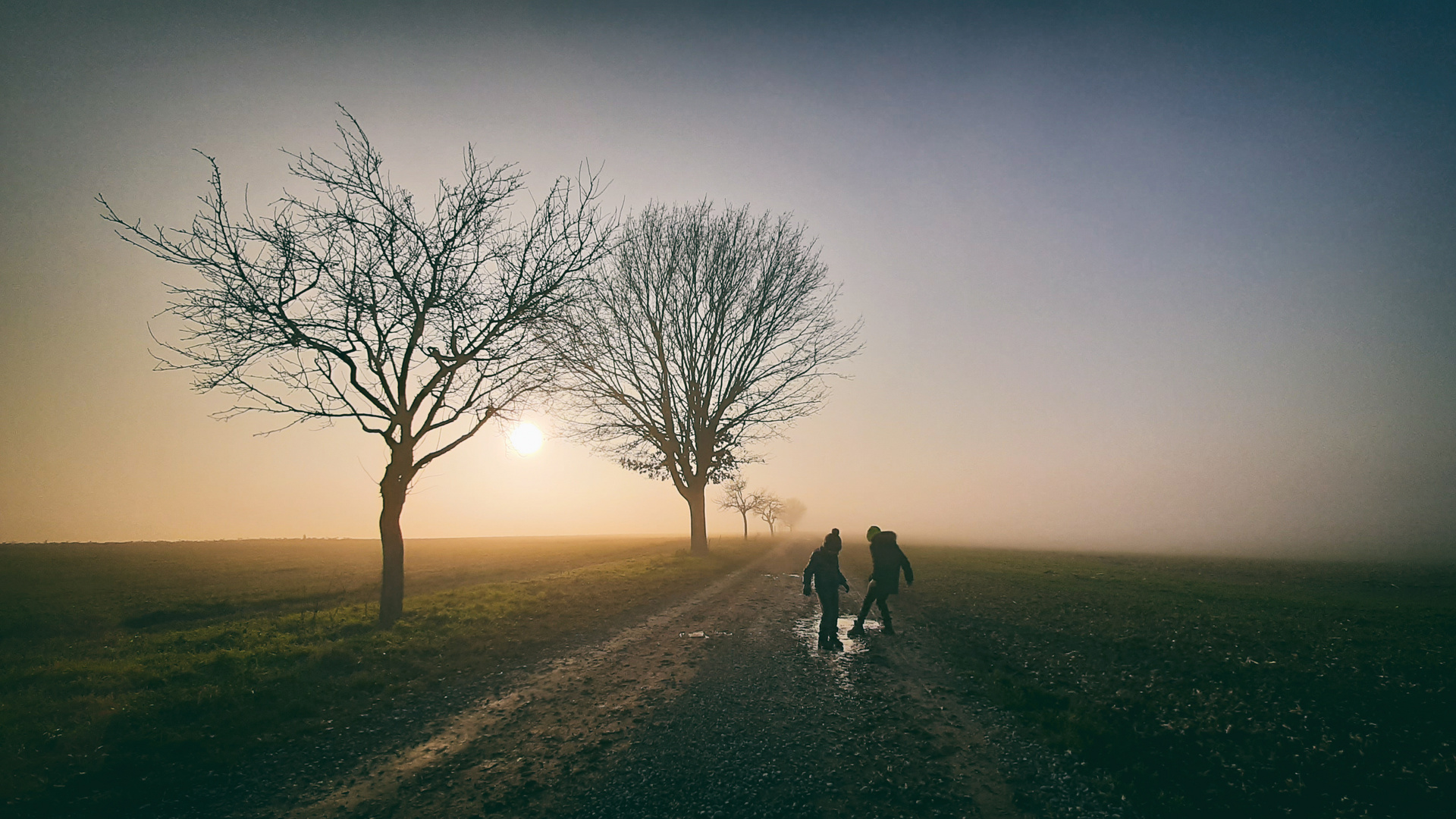 foggy new year