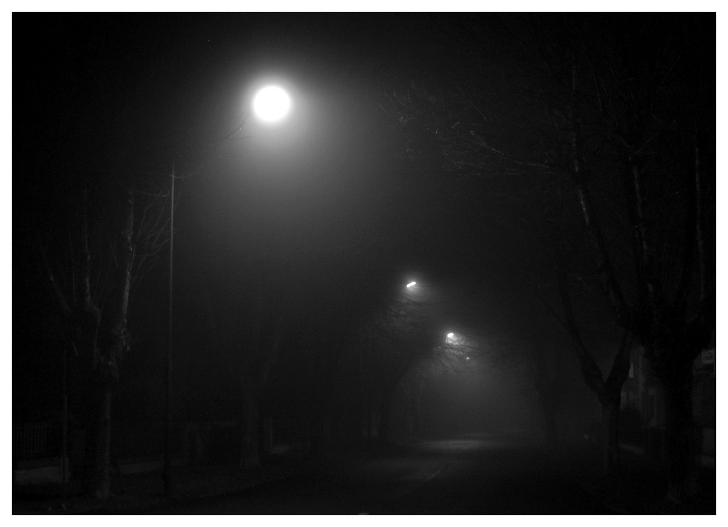 Foggy night