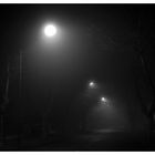 Foggy night