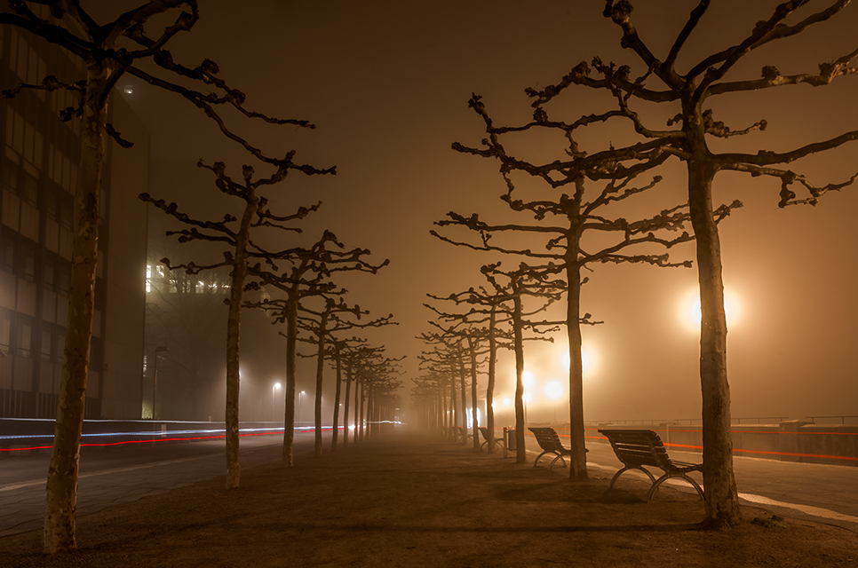 Foggy night