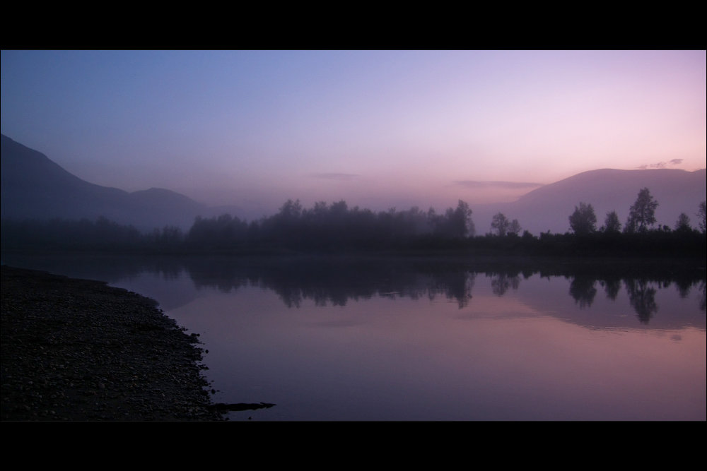 Foggy Night