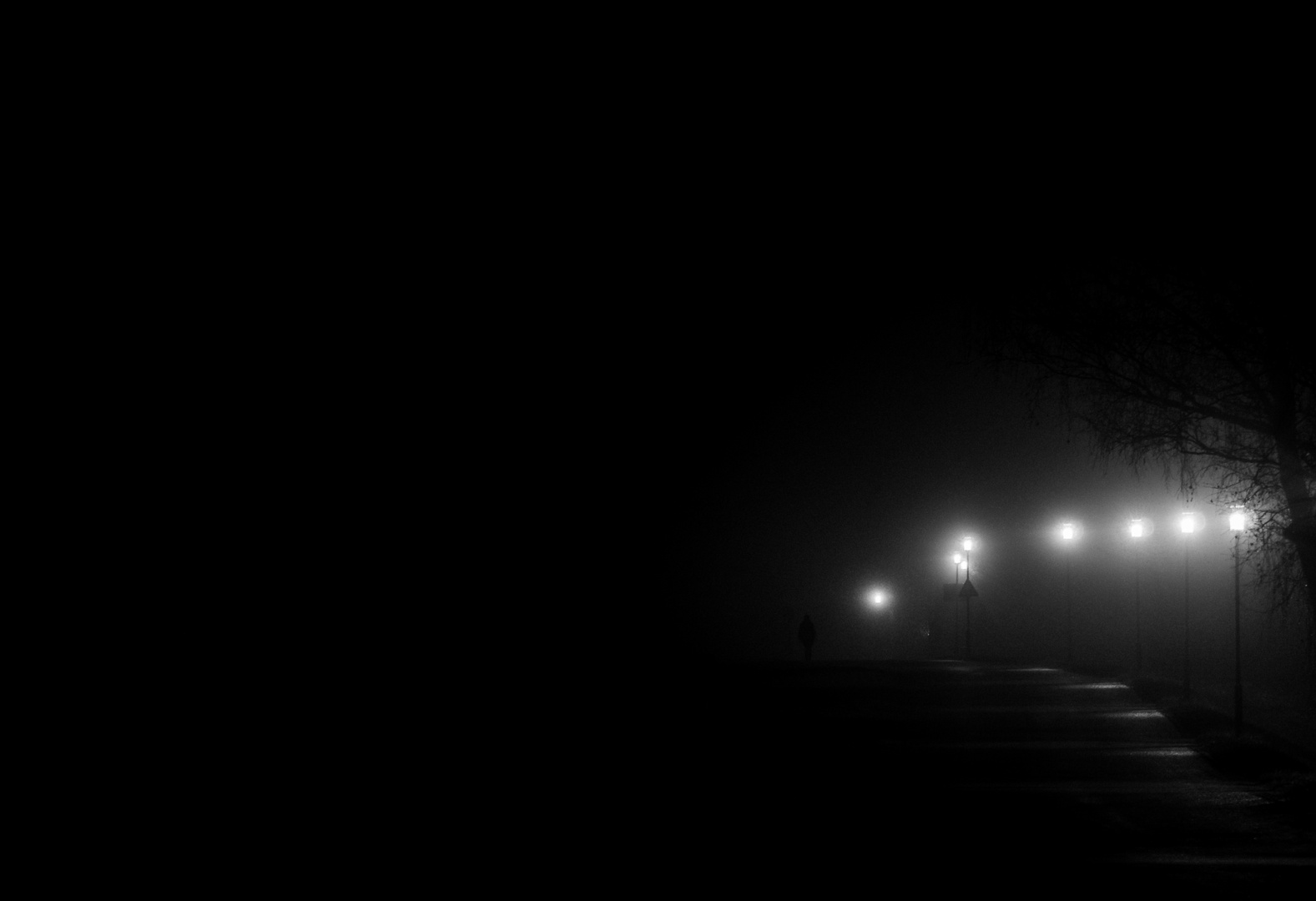 Foggy Night Walk